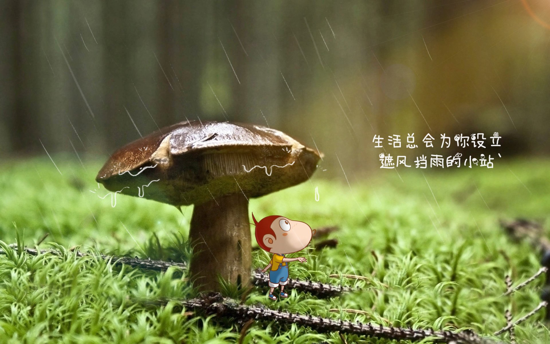KAIYUNAPP-史上最“疯狂”的逆转战役，谁赢得了最终胜利？，逆转胜利是怎么达成