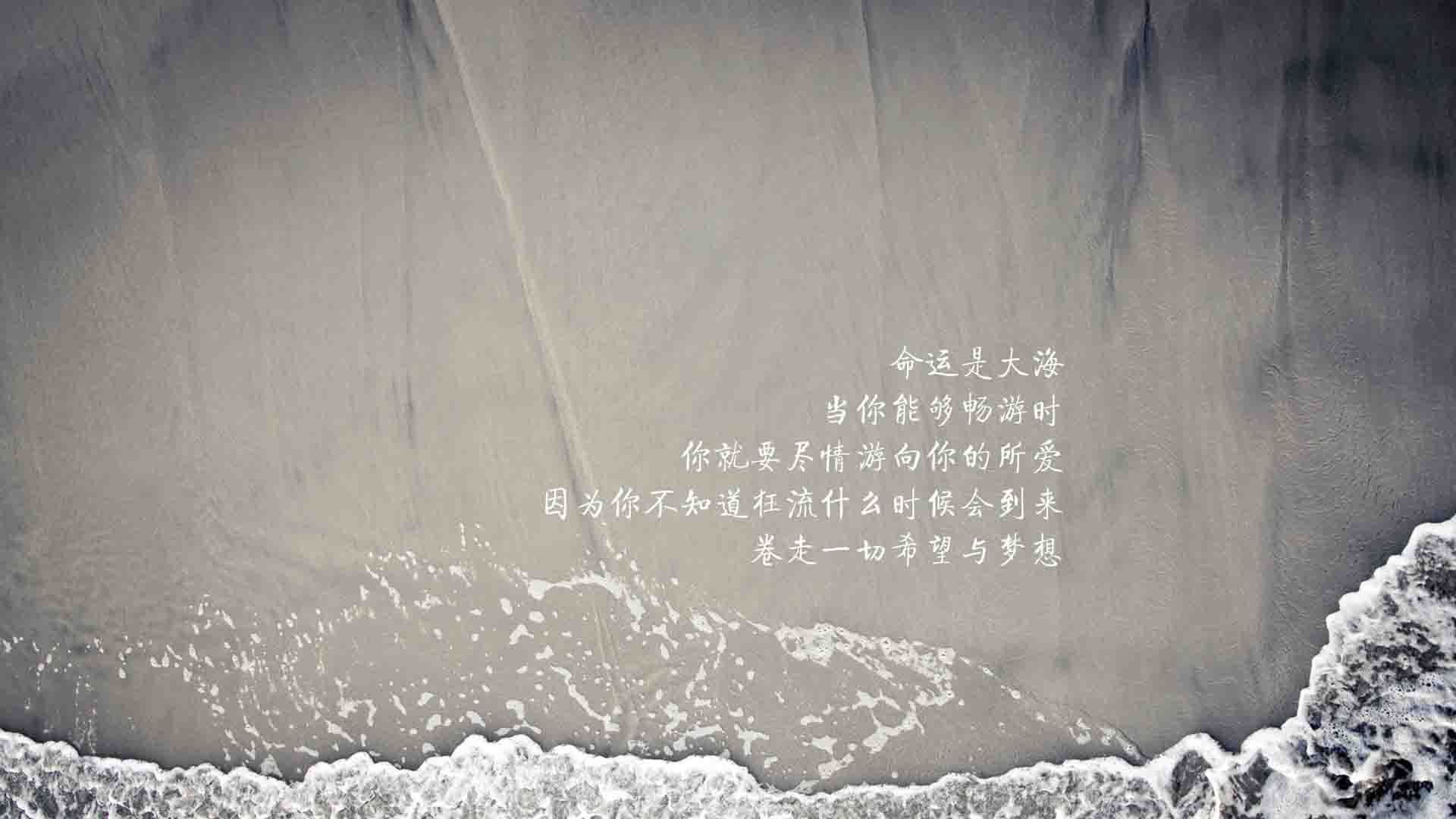 Kaiyun(中国)开云-史上最激烈“夺冠争夺战”，现场回顾令人热血沸腾，争夺冠军