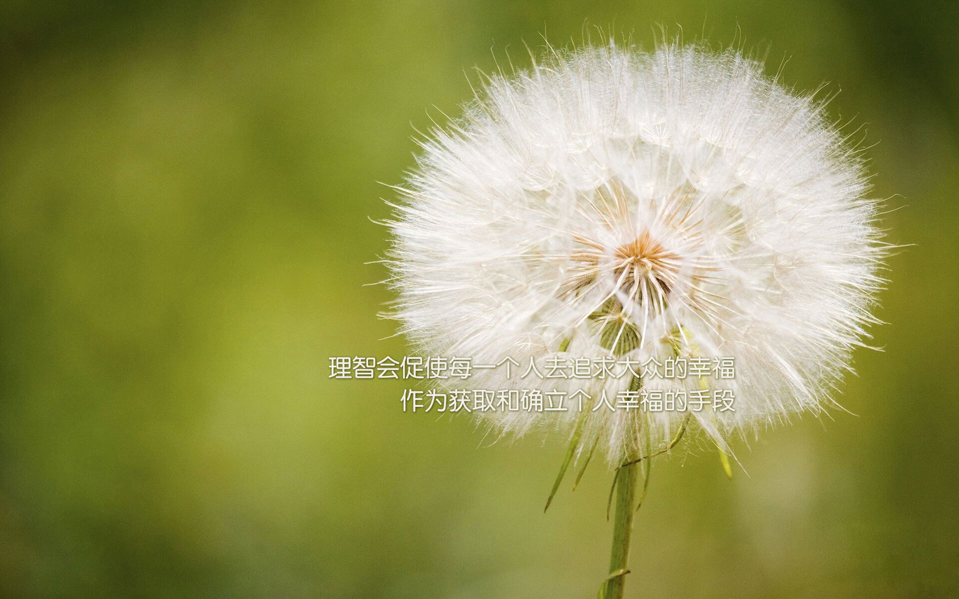 开云官方网站-运动装备研发成果展示活动，运动装备研发成果展示活动有哪些