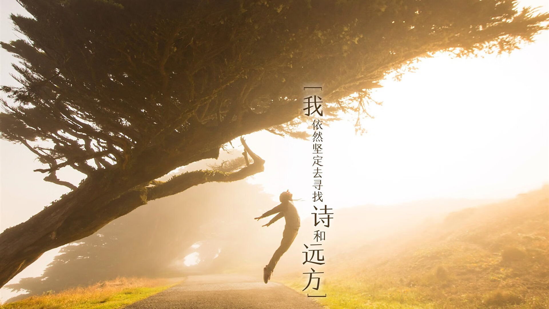 开云网页版登录入口-中学篮球推广篮球礼仪培养良好风气,中学篮球推广篮球礼仪培养良好风气教案