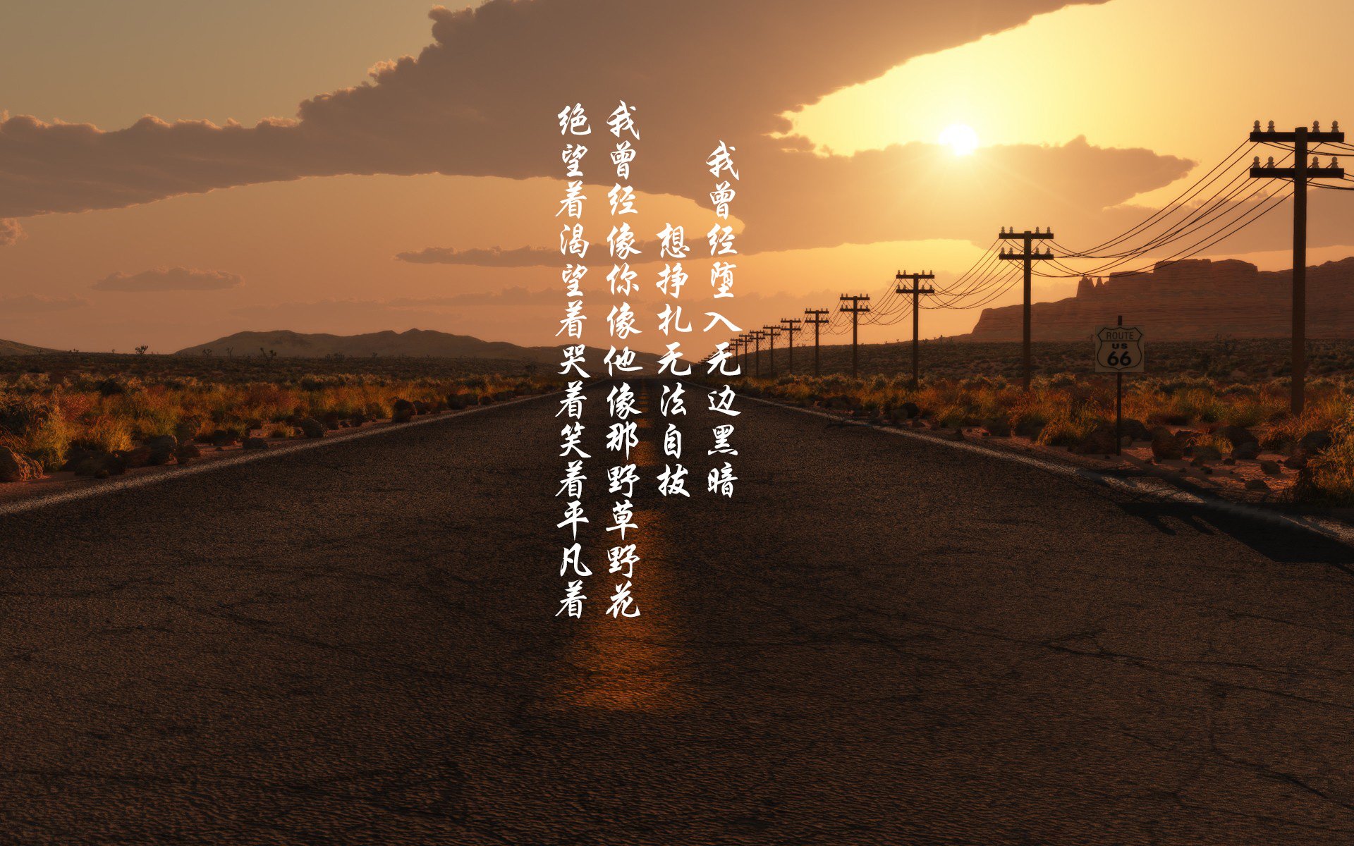 kaiyun-帕利斯特稳步提升竞赛表现,帕特里斯