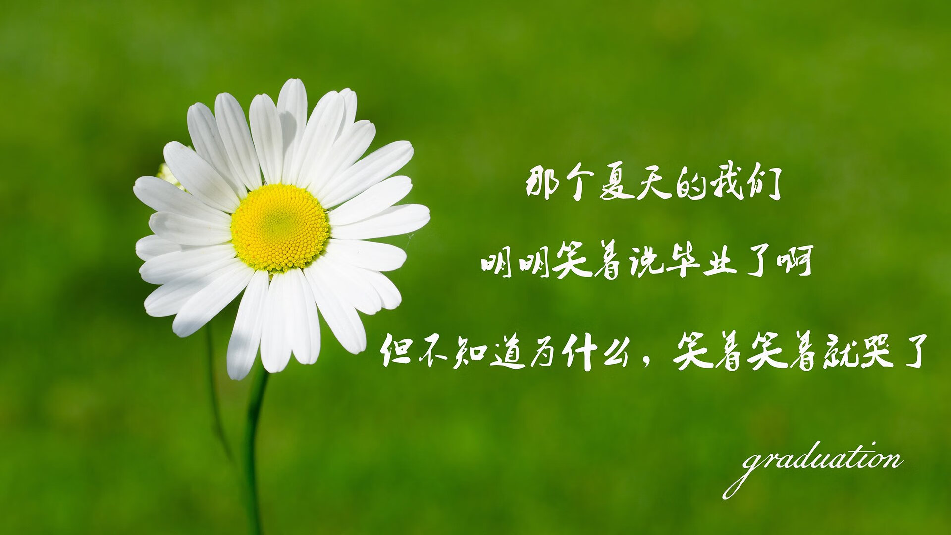 开云首页登录-篮球进军短视频平台加速内容传播与品牌年轻化转型，篮球短视频制作