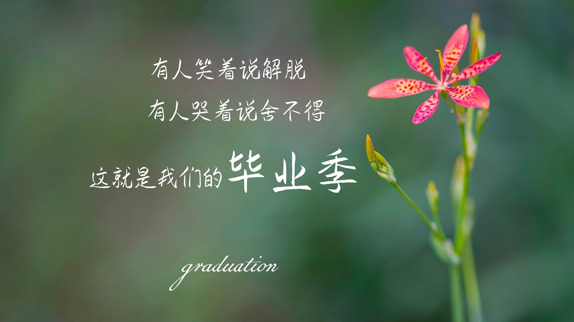 开云官方网页登录-美洲杯足球运动的跨文化交流,美洲杯专用足球