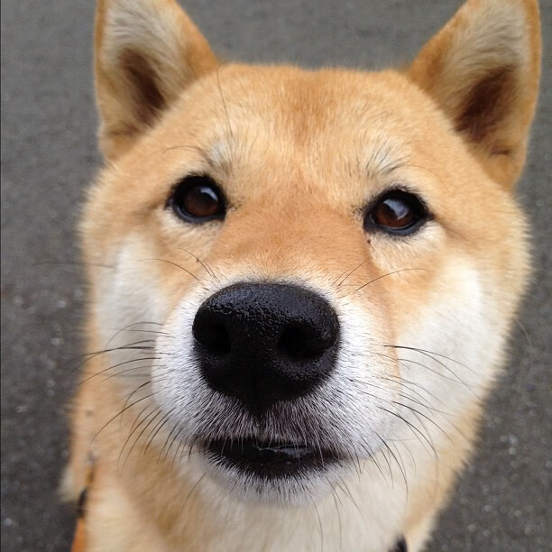 开云中国大陆-队员在媒体采访中表达信心强调团队凝聚力是制胜关键，员工遇到媒体采访应该怎么做