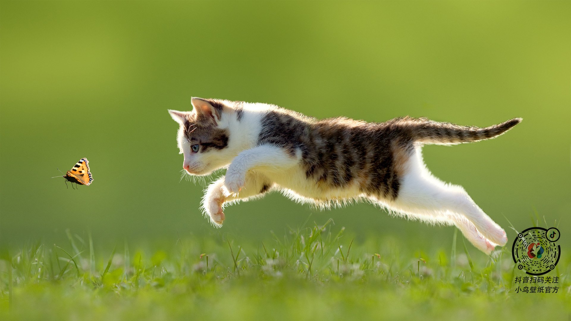 开云体育视频直播-麦肯齐：用灵动的步伐和迅猛的速度，他为全黑队打开了更多进攻空间