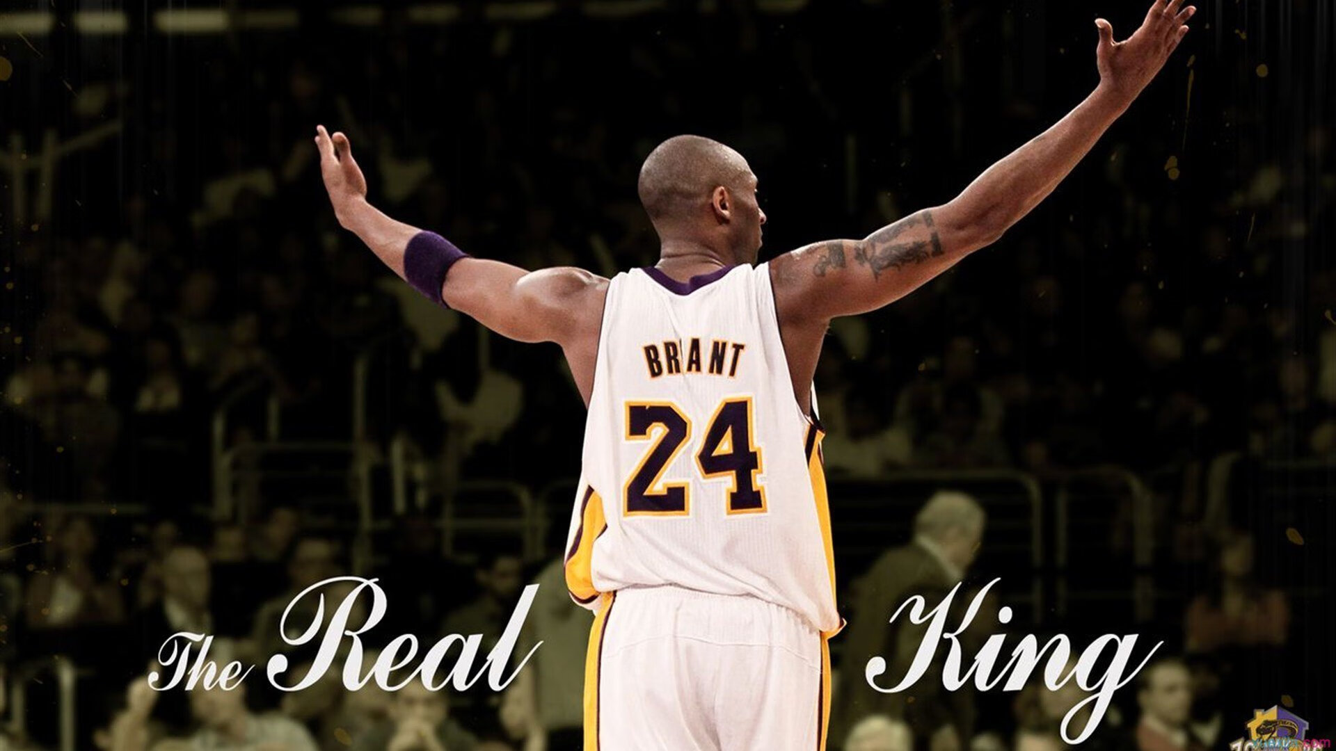 场上花絮：比赛中那些搞笑与感动的瞬间，比赛花絮什么意思